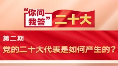 你问我答·二十大|党的二十大代表是如何产生的？